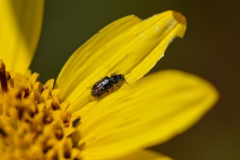 DSC_0254-A