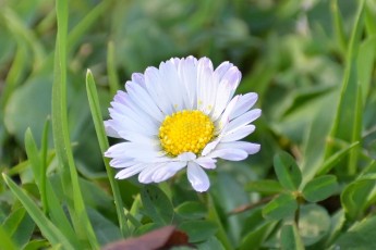 DSC_0291-A