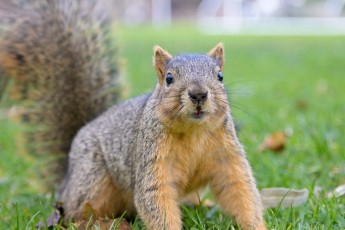 DSC_0314-A
