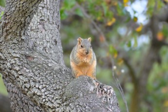 DSC_0356-B