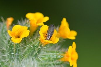 DSC_0786-A
