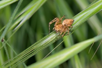 DSC_0793-B