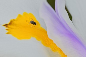 DSC_1519-A