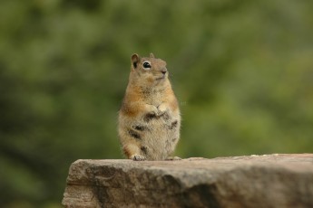 DSC_7072-A