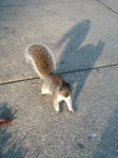 IMG_0739-A